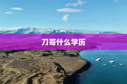 刀哥什么学历