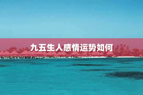 九五生人感情运势如何
