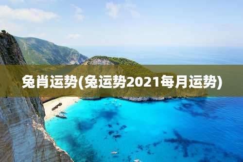 兔肖运势(兔运势2021每月运势)