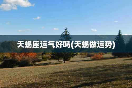 天蝎座运气好吗(天蝎做运势)