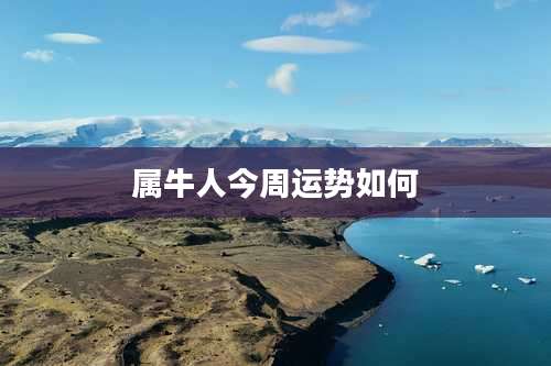 属牛人今周运势如何