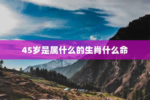 45岁是属什么的生肖什么命