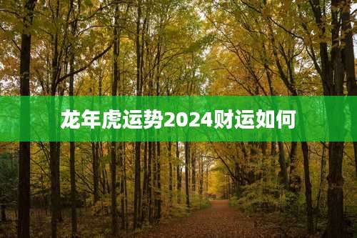 龙年虎运势2024财运如何