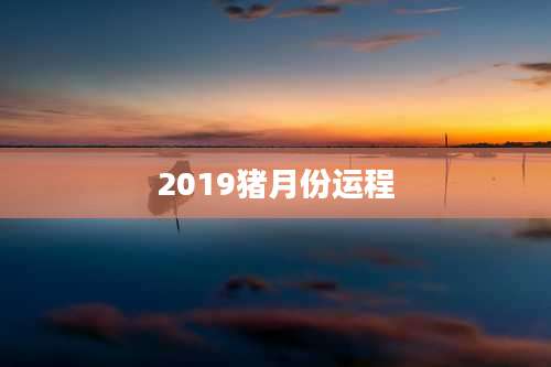 2019猪月份运程