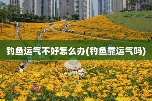 钓鱼运气不好怎么办(钓鱼靠运气吗)