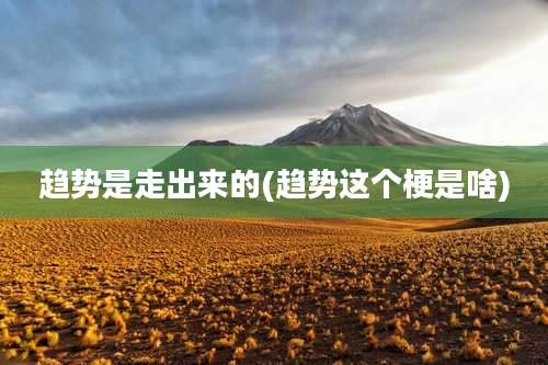 趋势是走出来的(趋势这个梗是啥)