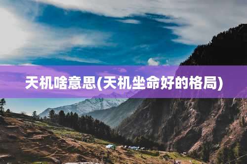 天机啥意思(天机坐命好的格局)