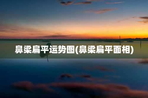 鼻梁扁平运势图(鼻梁扁平面相)