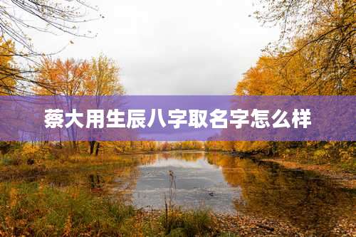 蔡大用生辰八字取名字怎么样