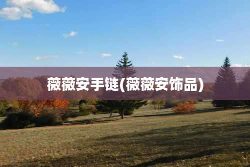 薇薇安手链(薇薇安饰品)