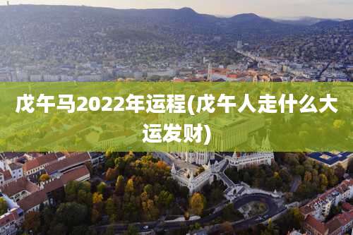 戊午马2022年运程(戊午人走什么大运发财)