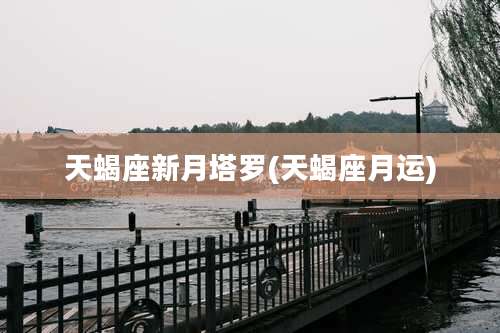 天蝎座新月塔罗(天蝎座月运)