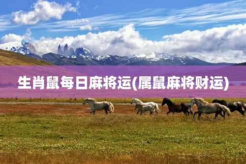 生肖鼠每日麻将运(属鼠麻将财运)