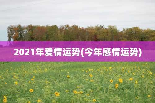 2021年爱情运势(今年感情运势)
