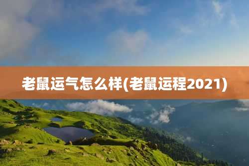老鼠运气怎么样(老鼠运程2021)