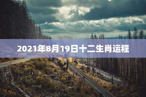 2021年8月19日十二生肖运程