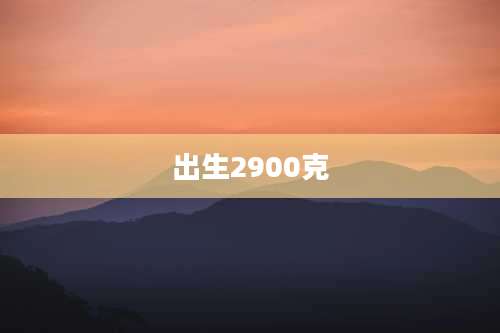 出生2900克