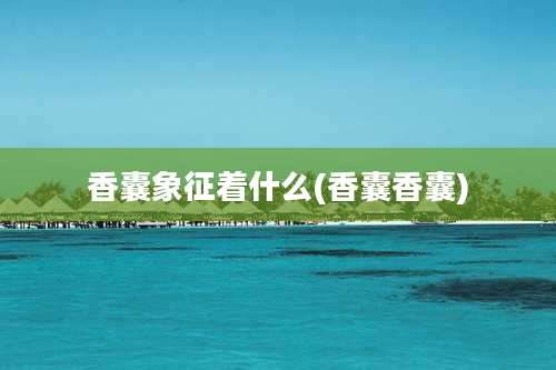 香囊象征着什么(香囊香囊)