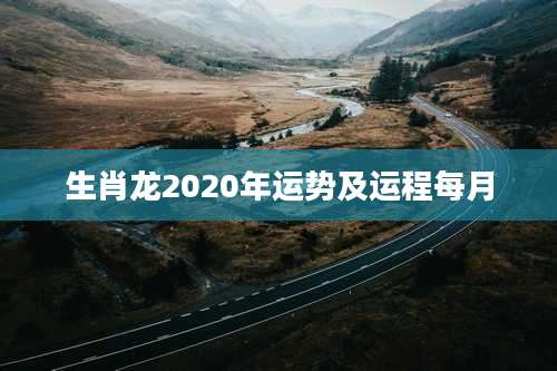 生肖龙2020年运势及运程每月