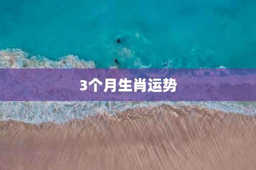 3个月生肖运势