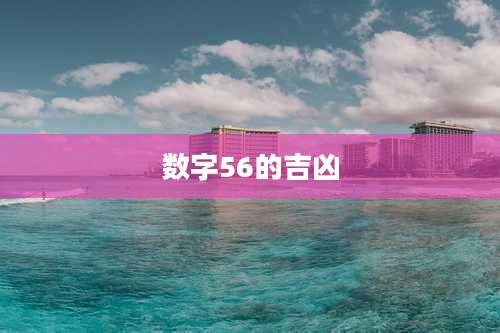 数字56的吉凶