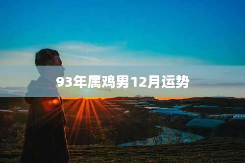 93年属鸡男12月运势