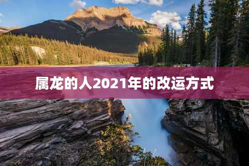 属龙的人2021年的改运方式