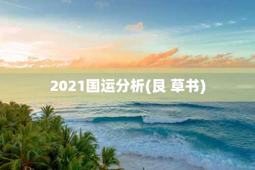 2021国运分析(艮 草书)