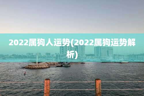 2022属狗人运势(2022属狗运势解析)