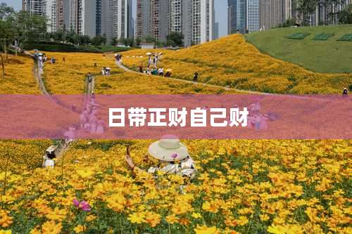 日带正财自己财