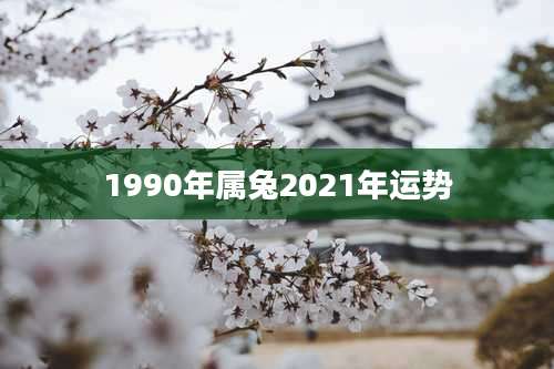 1990年属兔2021年运势