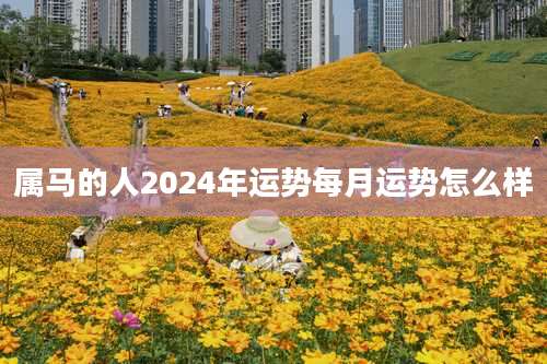 属马的人2024年运势每月运势怎么样