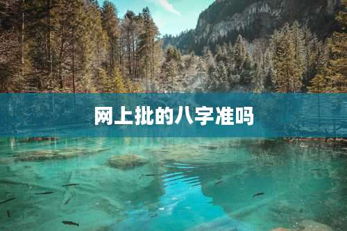 网上批的八字准吗