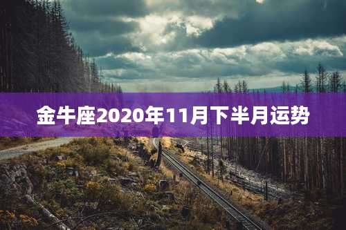 金牛座2020年11月下半月运势