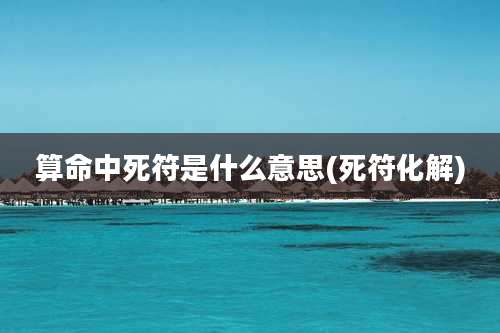 算命中死符是什么意思(死符化解)