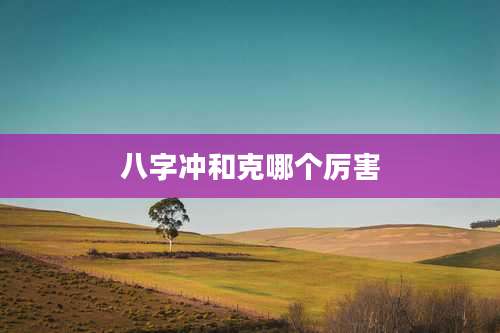 八字冲和克哪个厉害