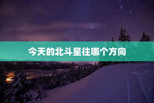 今天的北斗星往哪个方向