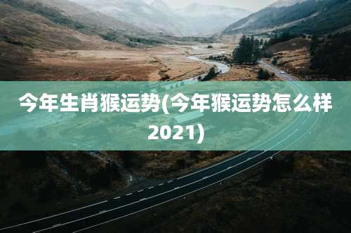 今年生肖猴运势(今年猴运势怎么样2021)