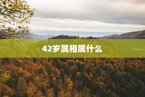 42岁属相属什么