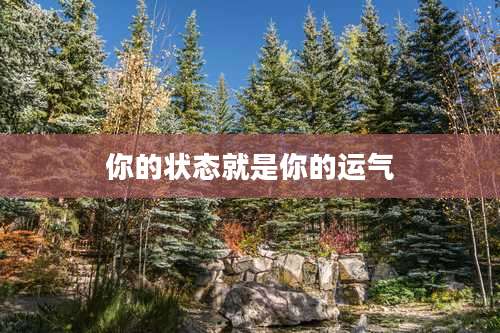 你的状态就是你的运气