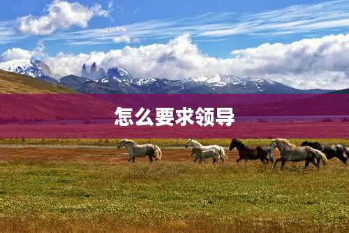 怎么要求领导