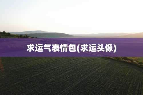 求运气表情包(求运头像)