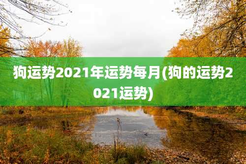 狗运势2021年运势每月(狗的运势2021运势)