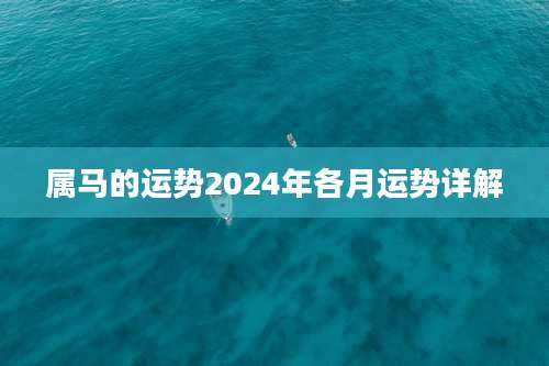 属马的运势2024年各月运势详解