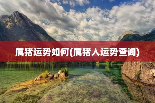 属猪运势如何(属猪人运势查询)