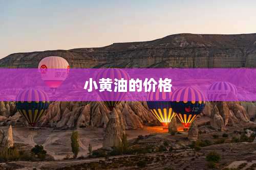小黄油的价格