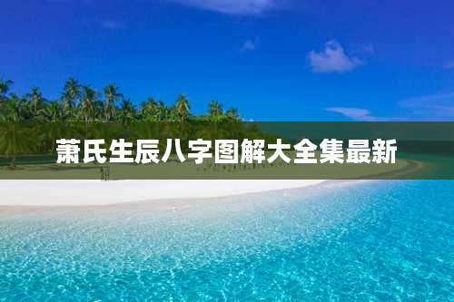 萧氏生辰八字图解大全集最新