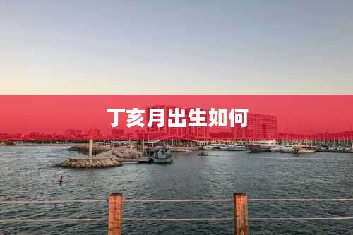 丁亥月出生如何