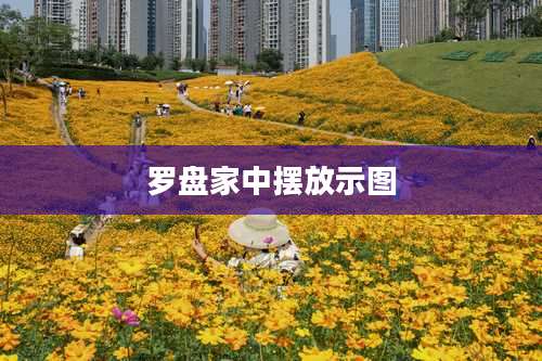 罗盘家中摆放示图