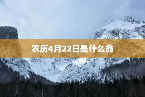 农历4月22日是什么命